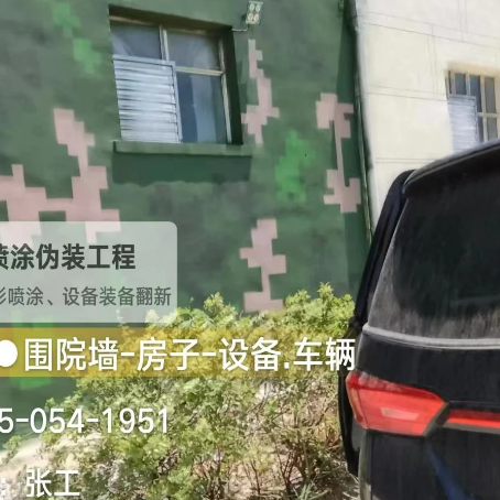西安数码迷彩漆施工